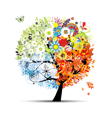 Seasons Come and Seasons Go …