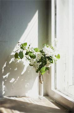 When the Windows of Heaven Open …