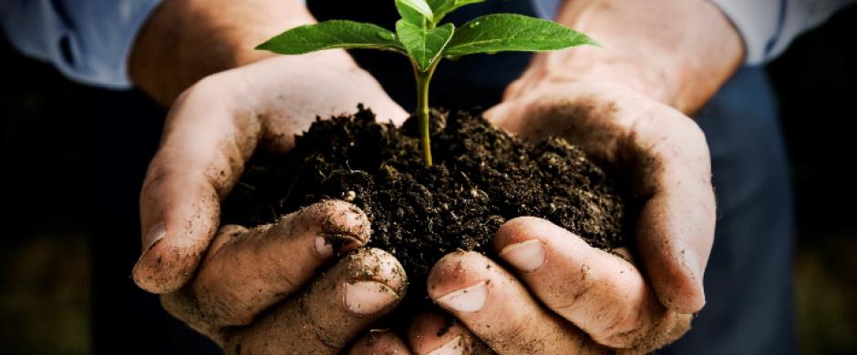 Gardening and the Heart … A Living Legacy