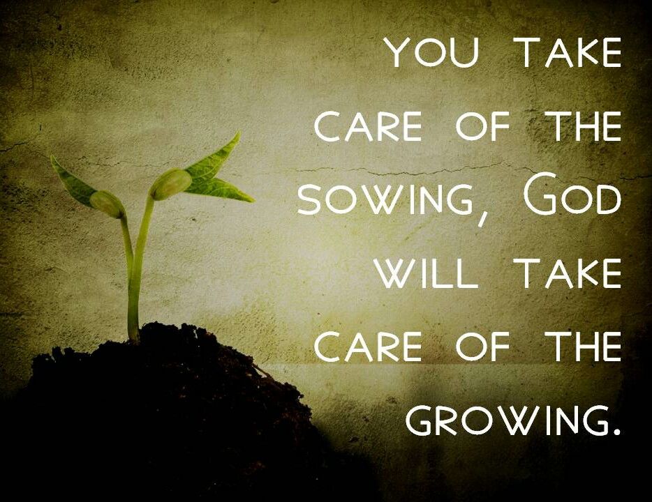 Sowing The Right Seed