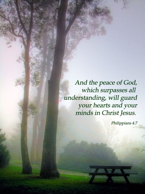 Peace In Difficulty