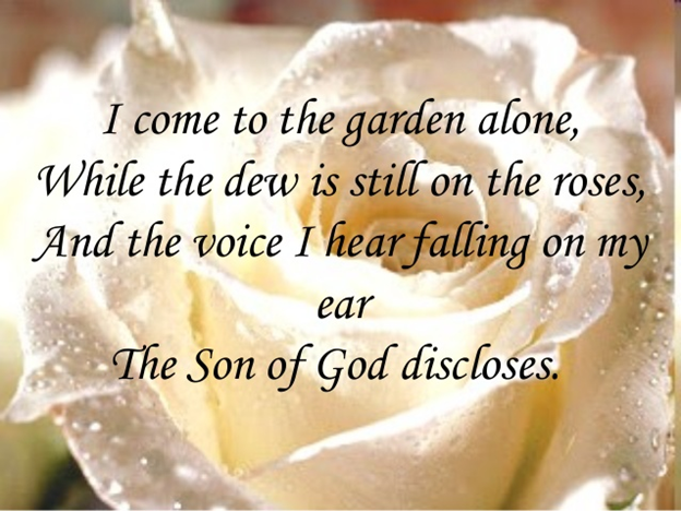 Finding Your Garden
