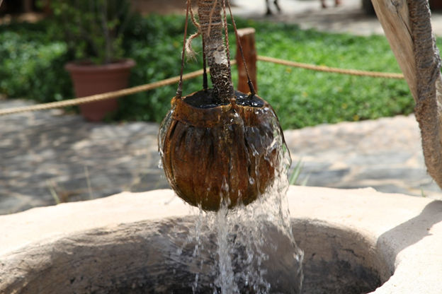You Can Lead A Horse To Water, But You Can’t Make It Drink!