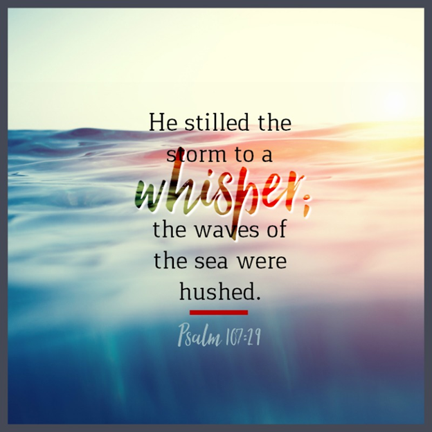 The Desired Haven …
