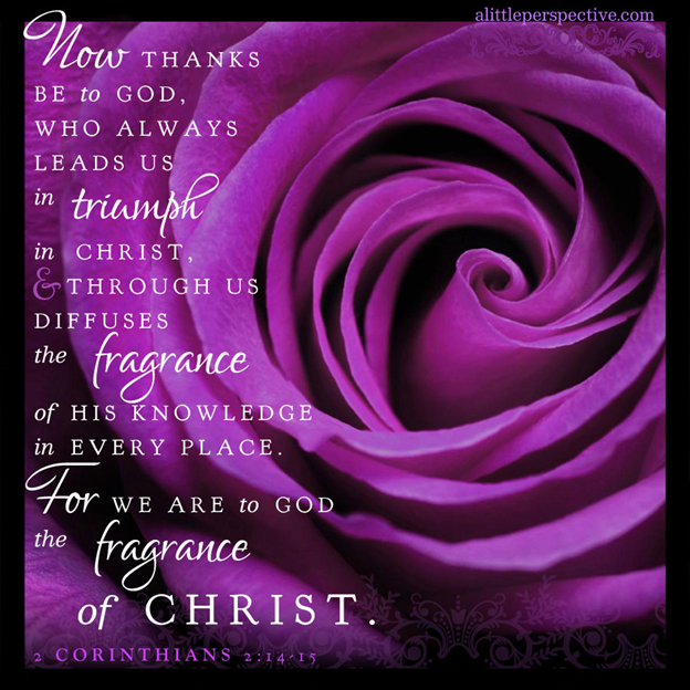 The Fragrance Above All Others