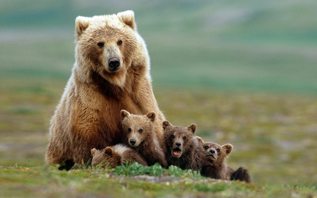 A Mother’s Mark