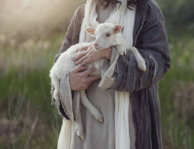 There Are ‘Bummer Lambs’ Among Us …