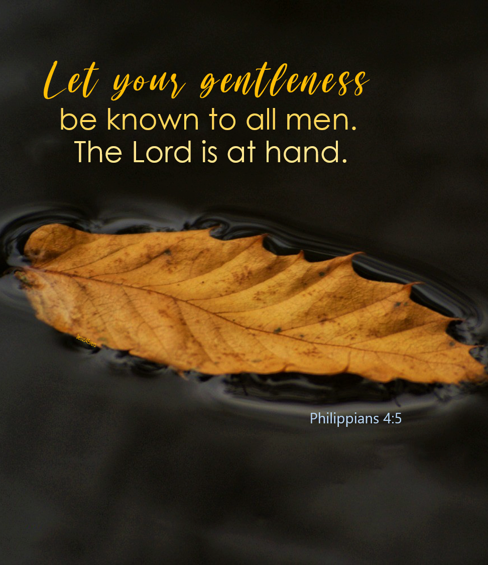 It Is His Way … The Best Way