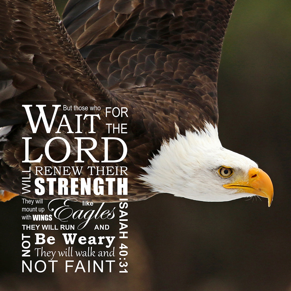 As We Wait …