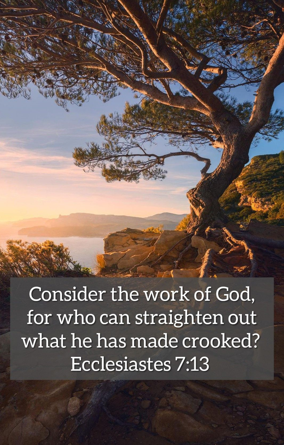 “Consider …”